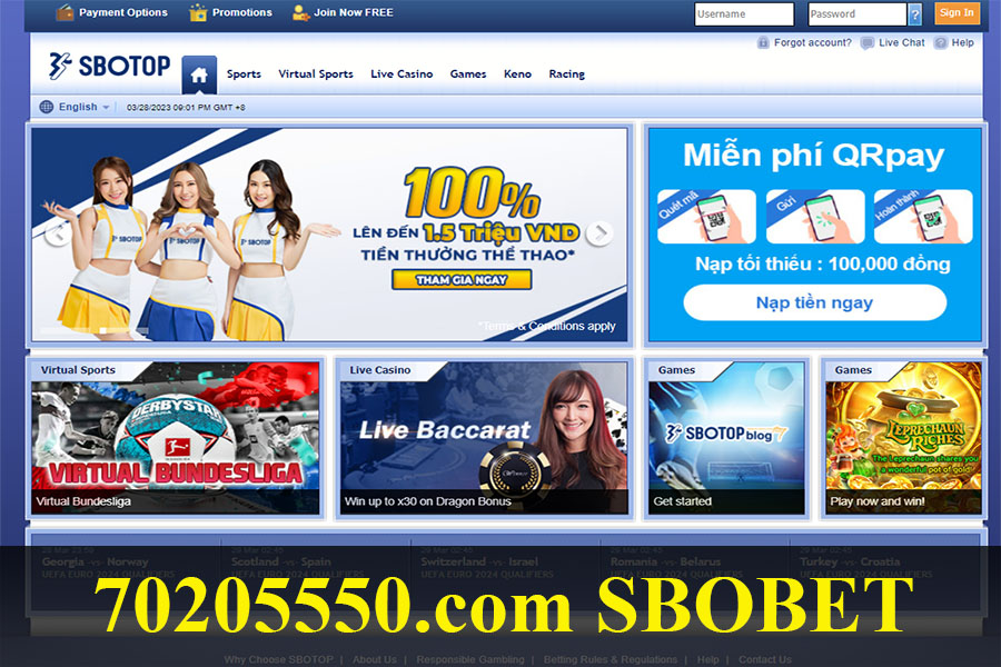 70205550.com Link truy cập trang chủ Sbobet không bị chặn