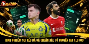 Kinh Nghiệm Soi Kèo Đá Gà