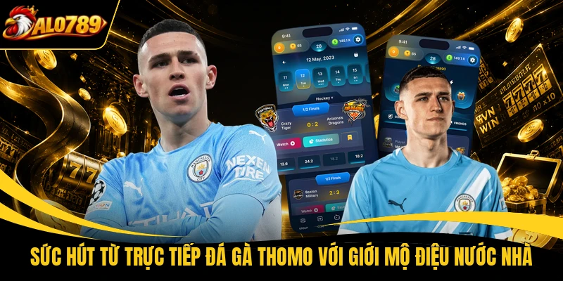 suc hut tu truc tiep da ga thomo voi gioi mo dieu nuoc nha Sức hút từ trực tiếp đá gà Thomo với giới mộ điệu nước nhà